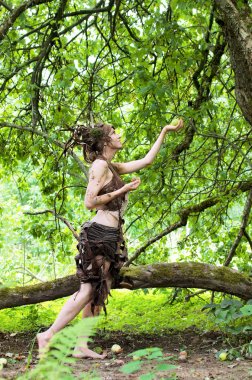 Ormanda orman perisi