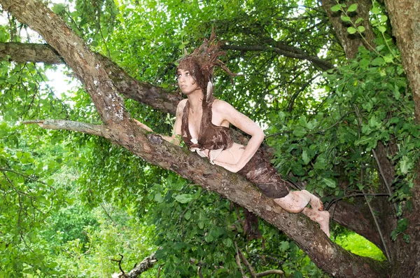 Driada Sdraiato Tronco Albero Nel Vecchio Giardino — Foto Stock