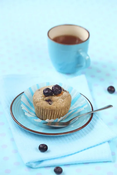 Muffin de arándano en placa azul — Foto de Stock