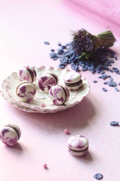 Violet Macarons Dengan Chocolate Blueberry Filling Dengan Latar Belakang Merah — Stok Foto