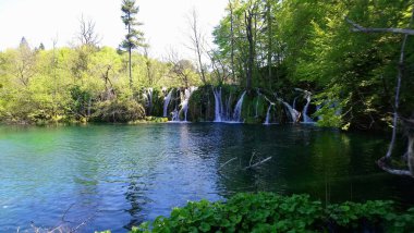 Hırvatistan. Plitvice Gölleri. Ormanın içindeki güzel şelaleler ve göller. Renkli su ve doğa. Suyun gücü