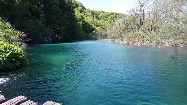 Κροατία Λίμνες Πλίτβιτ Όμορφη Λίμνη Βουνά Τριγύρω Εθνικό Πάρκο Φανταστική — Φωτογραφία Αρχείου