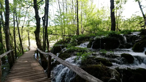 Horvátország Plitvicei Tavak Gyönyörű Vízesések Tavak Erdőben Színes Víz Természet — Stock Fotó
