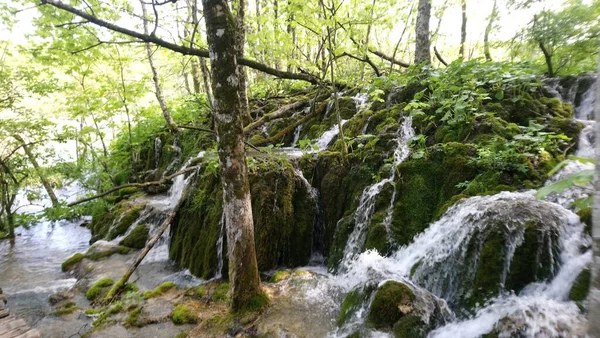 Kroatien Plitvicesjöarna Vackra Vattenfall Och Sjöar Inne Skogen Färgglada Vatten — Stockfoto