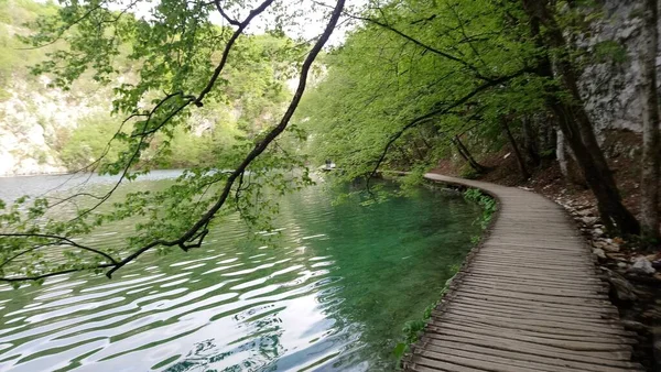 Κροατία Λίμνες Πλίτβιτ Όμορφη Λίμνη Βουνά Τριγύρω Εθνικό Πάρκο Φανταστική — Φωτογραφία Αρχείου