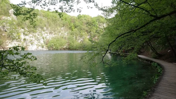 Κροατία Λίμνες Πλίτβιτ Όμορφη Λίμνη Βουνά Τριγύρω Εθνικό Πάρκο Φανταστική — Φωτογραφία Αρχείου