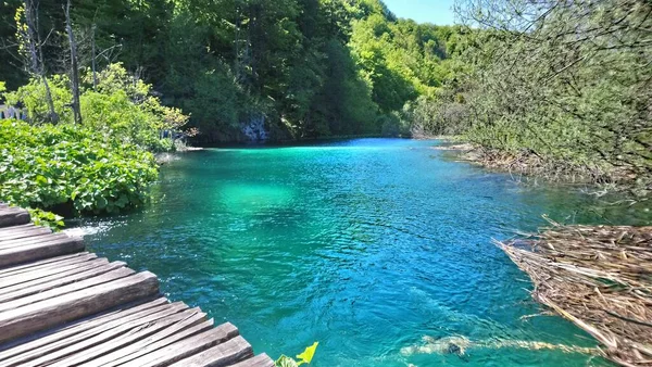 Κροατία Λίμνες Πλίτβιτ Εθνικό Πάρκο Και Καταρράκτες Ξύλινο Δρόμο Μέσα Φωτογραφία Αρχείου