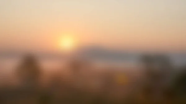 Sfondo di alba offuscata, Luce del mattino presto, Il gambo naturale — Foto Stock