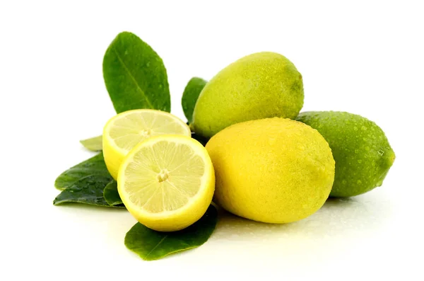 stock image Fresh lemon from organic plantation field.