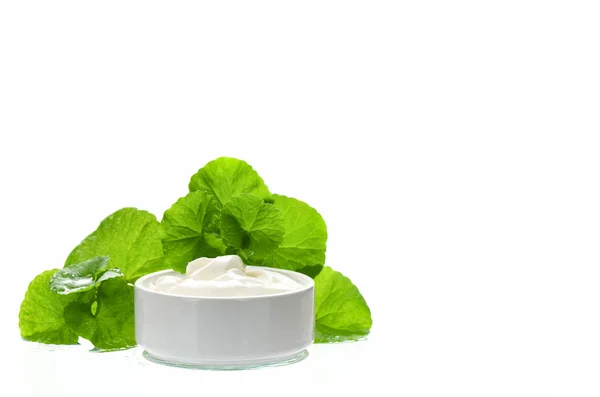 Indian pennywort anti-aging skin care product. — Stock Photo, Image