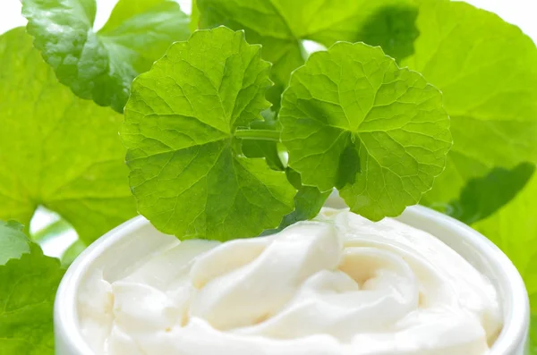 Indian pennywort anti-aging skin care product. — Stock Photo, Image