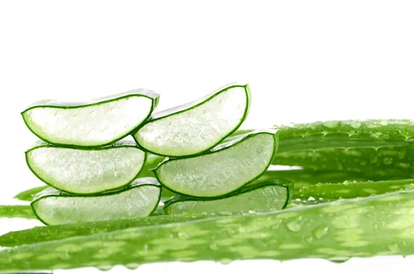 Aloe Vera cilt bakımı için çok yararlı bir bitkisel ilaç dilim. — Stok fotoğraf