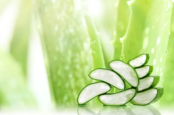 Iris Aloe Vera obat herbal yang sangat berguna untuk perawatan kulit . — Stok Foto