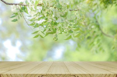 Perspective wood table and nature background clipart
