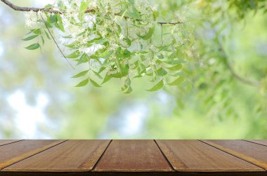 Perspective wood table and nature background clipart