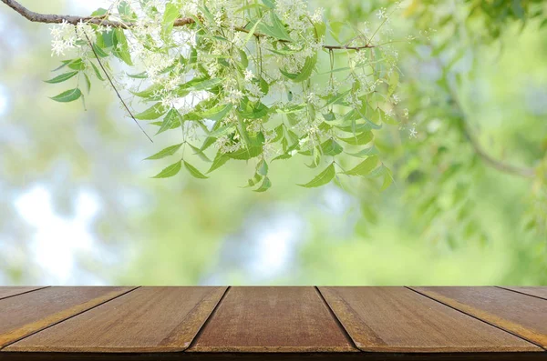 Perspektive Holz Tisch und Natur Hintergrund — Stockfoto