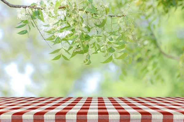 Table de pique-nique rouge et fond nature . — Photo
