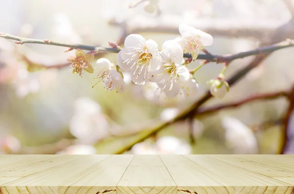 Pcnic Hintergrund mit Kirschblüte. — Stockfoto