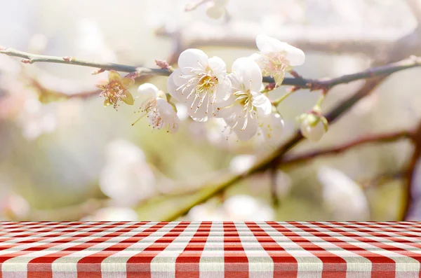 Pcnic Hintergrund mit Kirschblüte. — Stockfoto