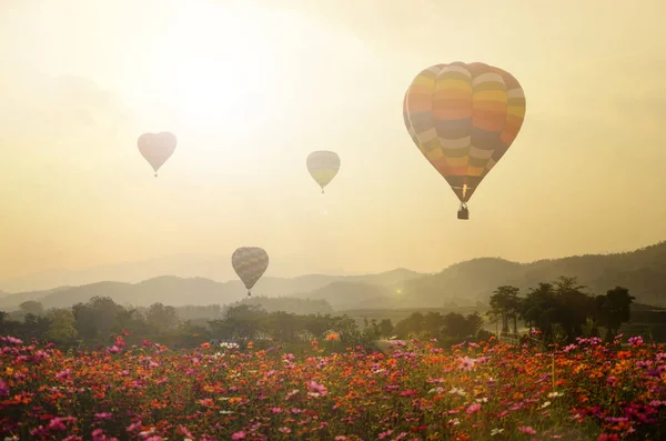 Zonsondergang met vliegende ballons. — Stockfoto