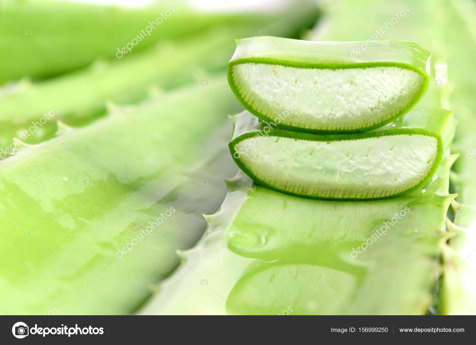 Cut Aloe Vera Leaves On Green Background Stock Photo C Areeya