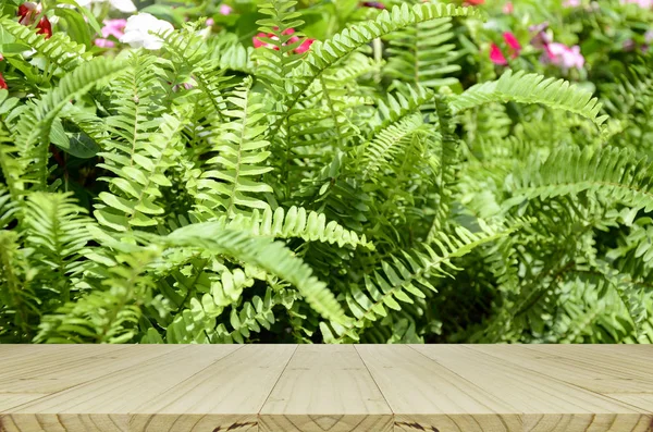 Προοπτική ξύλινη βιτρίνα με πράσινο φόντο στον κήπο. — Φωτογραφία Αρχείου