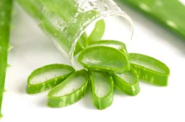 Beyaz arka plan üzerinde Aloe Vera yaprakları tüp ile kesmek.