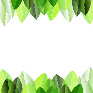 Plumeria kare desen beyaz zemin üzerine bırakır..