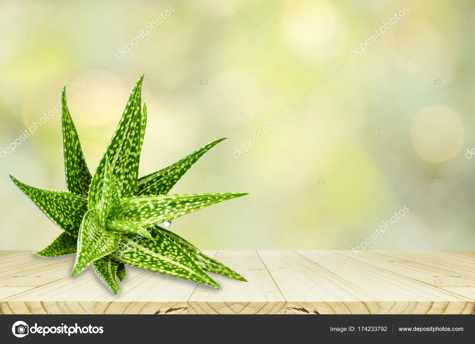 Aloe Vera On Product Display Wood Counter Background Stock Photo Image By C Areeya