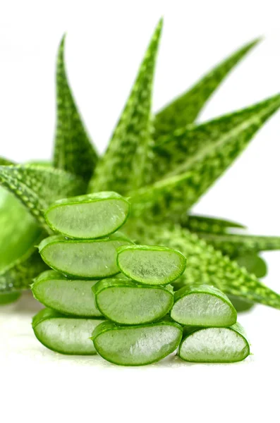 Slice Aloe Vera, очень полезное растительное лекарство для ухода за кожей и — стоковое фото