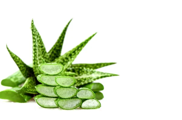 Slice Aloe Vera, a very useful herbal medicine for skin care and — Stock Photo, Image