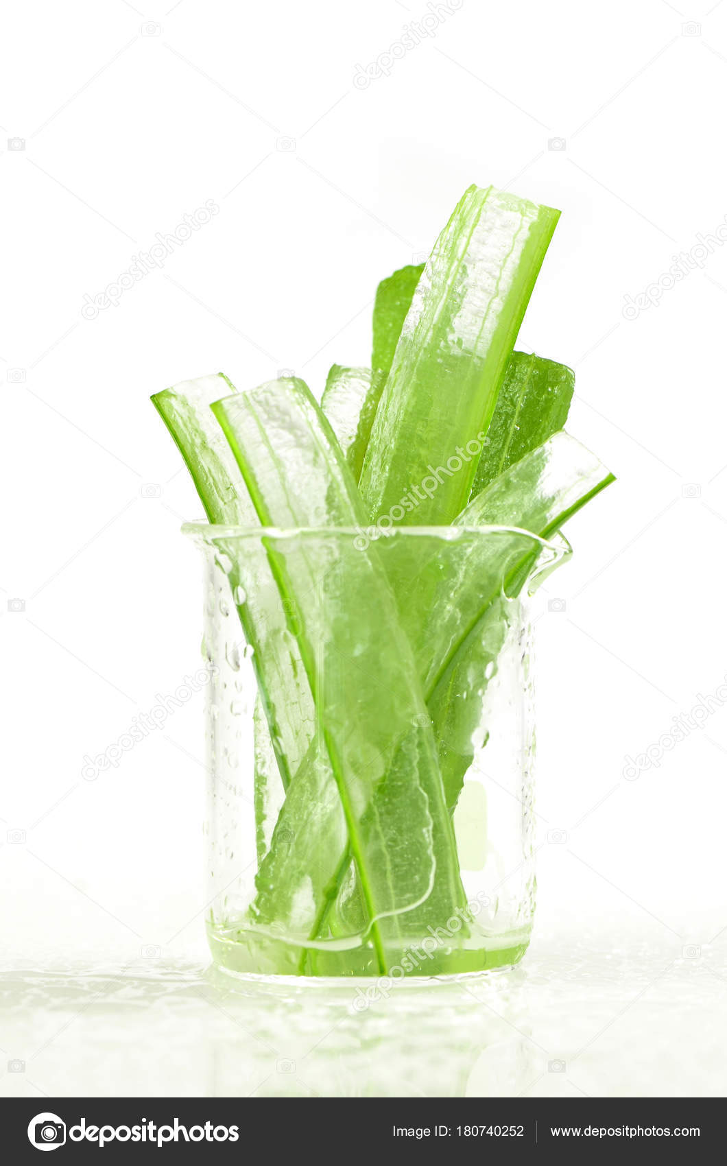 Éplucher les feuilles de l\'Aloe Vera montre transparence gel à l ... Éplucher les feuilles de l\'Aloe Vera montre transparence gel à l ...