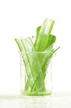 Aloe Vera yaprakları gösterir şeffaflık jel içinde soyma.