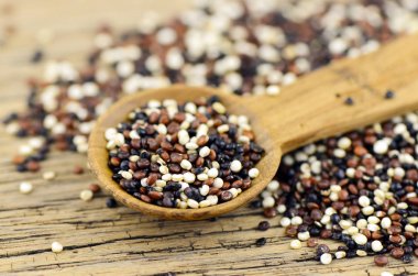 Karışık quinoa (Chenopodium quinoa) tohum.