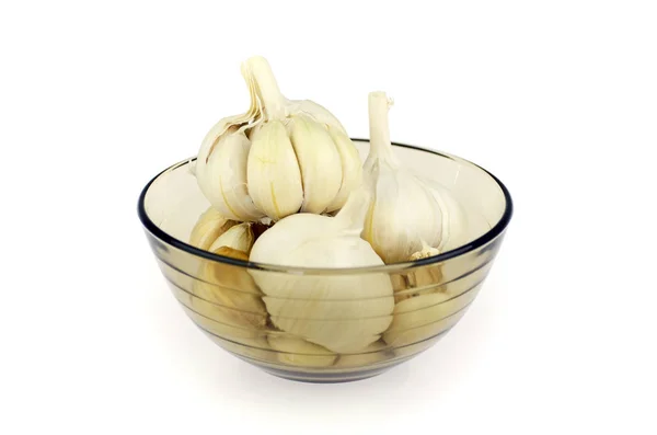 Organic garlic on white background. — Stock Photo, Image