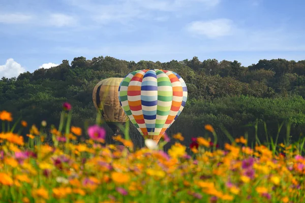 Sıcak hava balonu ve kozmos tarlası parlak gökyüzü üzerinde. — Stok fotoğraf