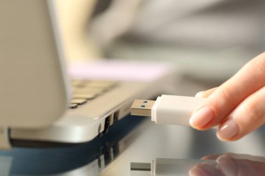 USB flash diski bir dizüstü bilgisayara bağlayan kadın ellerini kapat