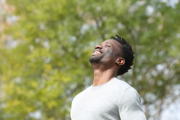 Vrolijke Zwarte Man Ademt Diep Frisse Lucht Een Park Met — Stockfoto