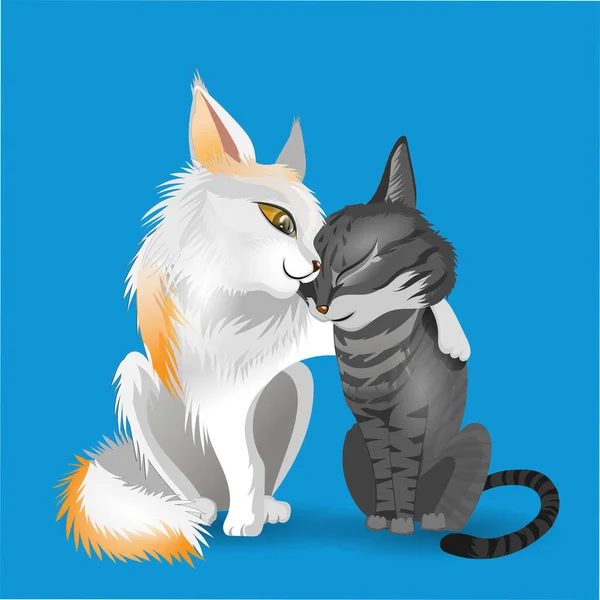 Zwei Kleine Süße Katzen Weiße Und Graue Katze Umarmen Sich — Stockvektor