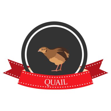 düz simgesi bıldırcın adı ile