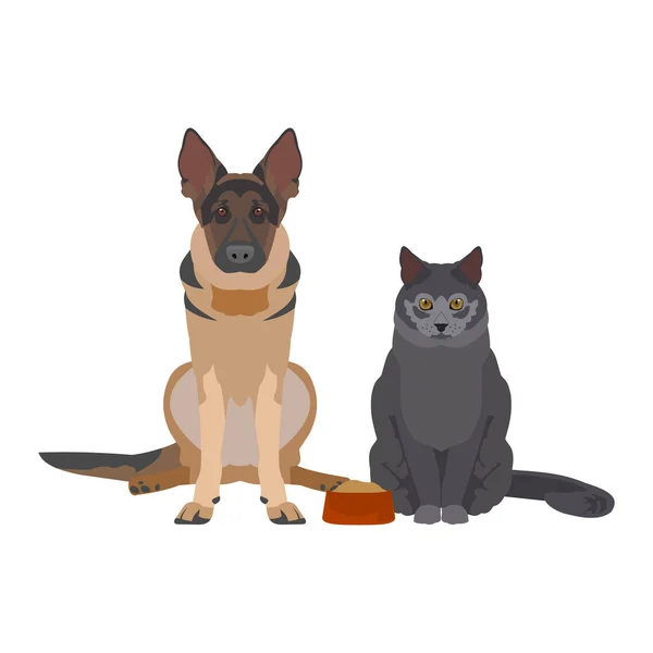 Flat illustration of dog and cat — Stock Vector