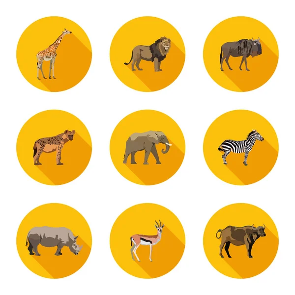 Afrikanische Tiere flache Symbole gesetzt — Stockvektor
