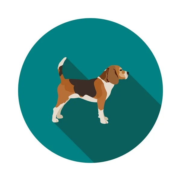 Plochý pes Beagle ikona — Stockový vektor