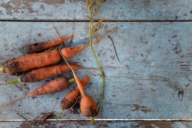 Eski ahşap masa arkasında bir sürü taze havuç. Organik sebzeler, vejetaryen yiyecekler. Üst görünüm, alanı kopyala