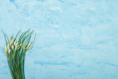 Mavi üzerine yapay beyaz çiçekler boyanmış ahşap zemin. Bahar çiçekleri, Paskalya, kadınlar günü, anneler günü, 8 Mart konsepti. Boşluğu kopyala.