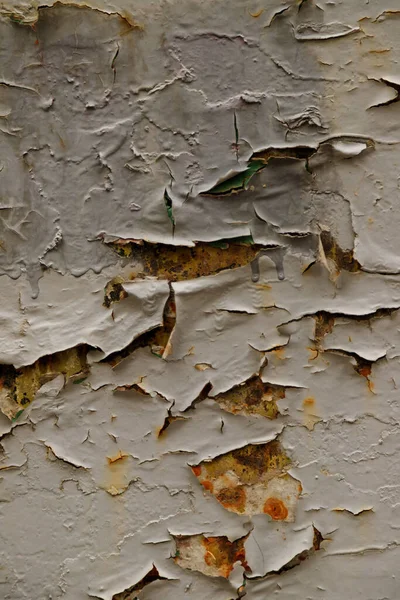 Old rusted wall covered with peeling off paint remains, weathered surface texture background or backdrop