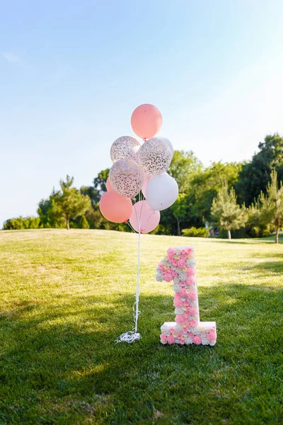 Rosa Dekorativ Nummer Ett Med Ballonger Står Grönt Gräs Och — Stockfoto
