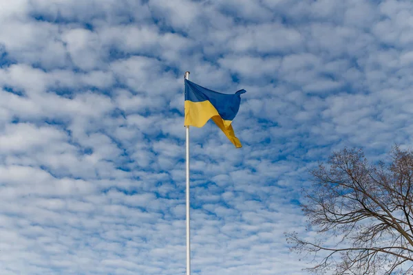 Bandera Azul Amarilla Ucraniana Ondeando Sobre Fondo Azul Cielo Nublado — Foto de Stock