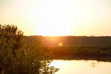 Tarla çiçekleri, otlar ve yapraklar güzel bir günbatımı ışığında göl kenarında. Bulanık arkaplan, kopyalama alanı. Kırsal hayat, özgürlük, yaz ve bahar çiçekleri konsepti.