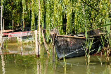 Nehirde yeşil arka planda eski bir balıkçı teknesi.